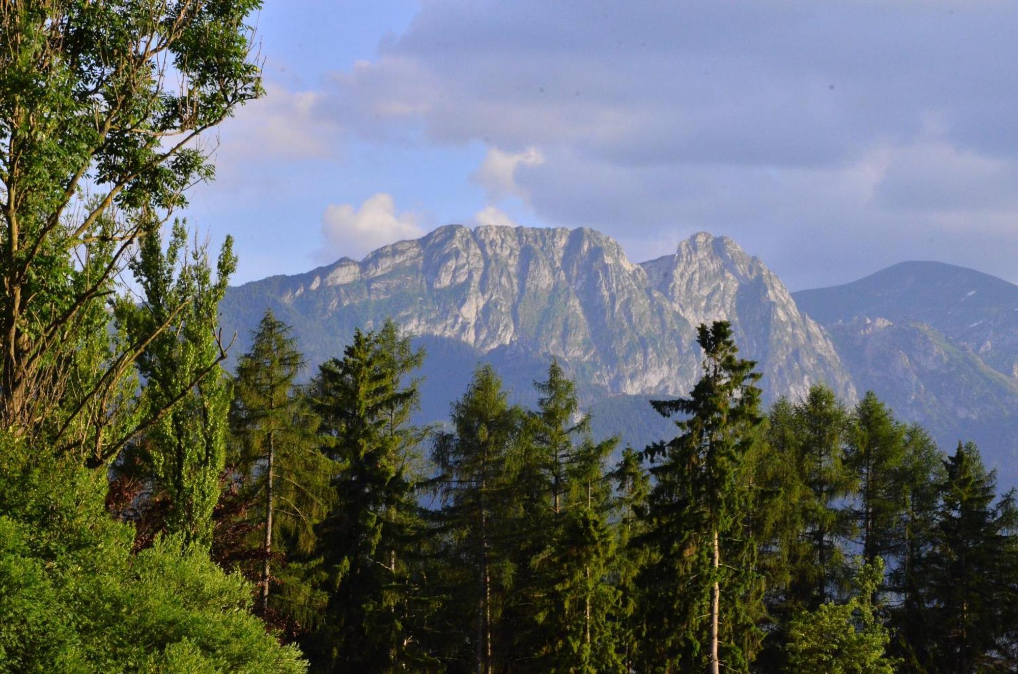 Chata Walczakow -Blue Cave Cottage Zakopane Extérieur photo
